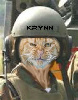 Krynn's Avatar