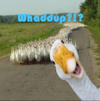 blowitup_goose