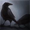 [SP]Raven's Avatar